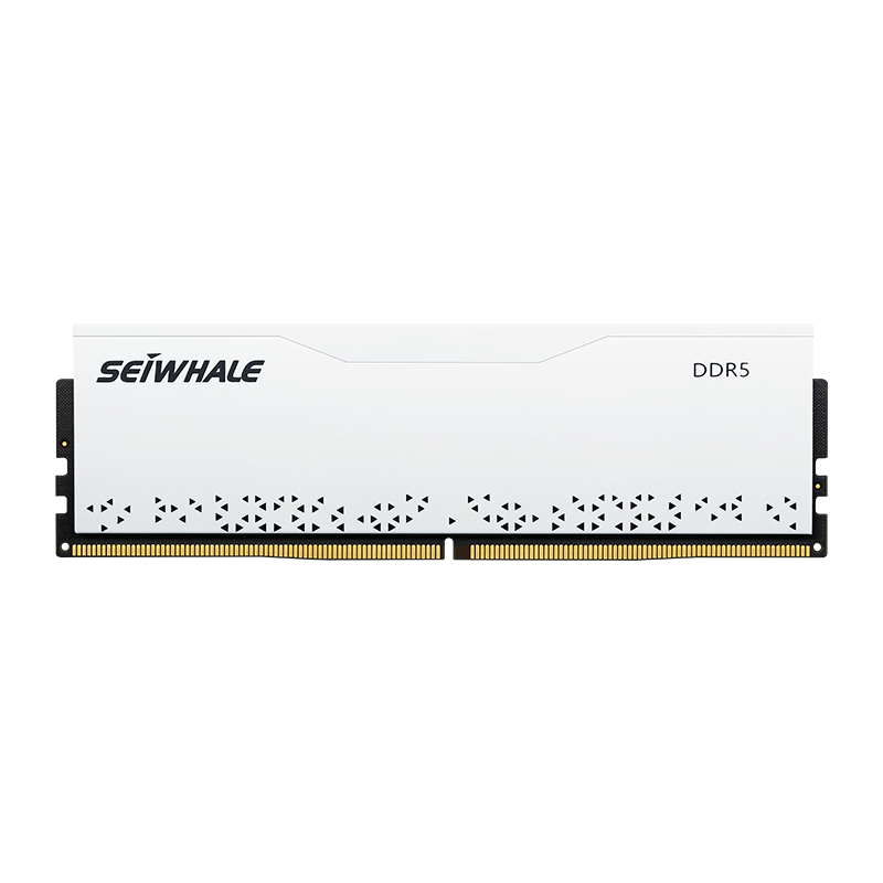 枭鲸 DDR5 台式机内存条 审判者系列